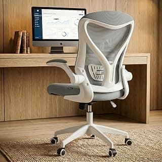 DROGO Marshal lite Premium Ergonomic Office Chair for Work from Home, High Back Computer Chair with Mesh, Flip-up Armrest, Recline, Adjustable Seat & Lumbar Support | Mesh Chair for Office (Grey)