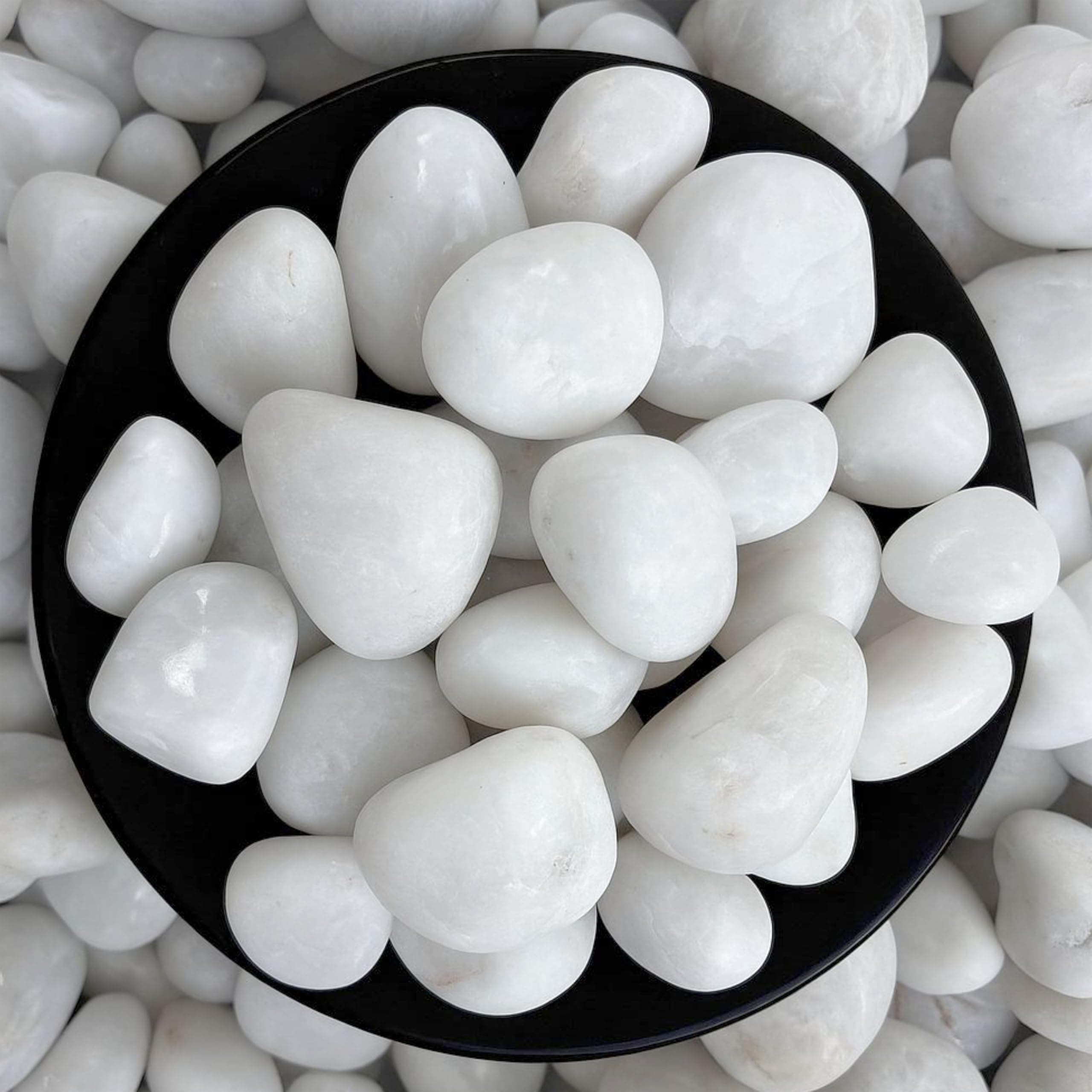 Foodie Puppies Polished White Pebbles Glossy Stones - (Large, 5Kg) (2.5cm - 4cm) | for Home Decorative, Vase Fillers, Aquarium Fish Tank, Garden River Rock Unplanted Substrate