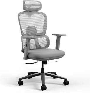 Frido AeroMesh Ergo Chair, Adjustable Armrests & Headrest, Lumbar Support, Breathable Mesh Back Fabric, Customizable Seat Depth & Height, Office Chair for Work, Study, Computer,120 kg Capacity- Grey