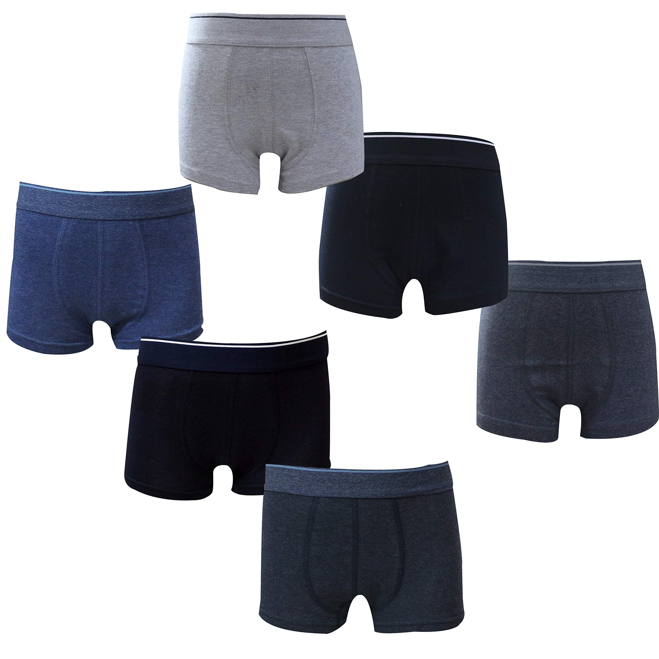 Real Kids Boy's Cotton Briefs (Set of 6)