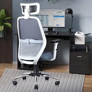 ASTRIDE Octave BIFMA Certified Ergonomic Office Chair for Work | 2D Adjustable Soft Armrest, 2D Headrest & 2D Lumbar Support | Single Tilt Lock Mechanism [Heavy Duty Metal Base, White-Grey]
