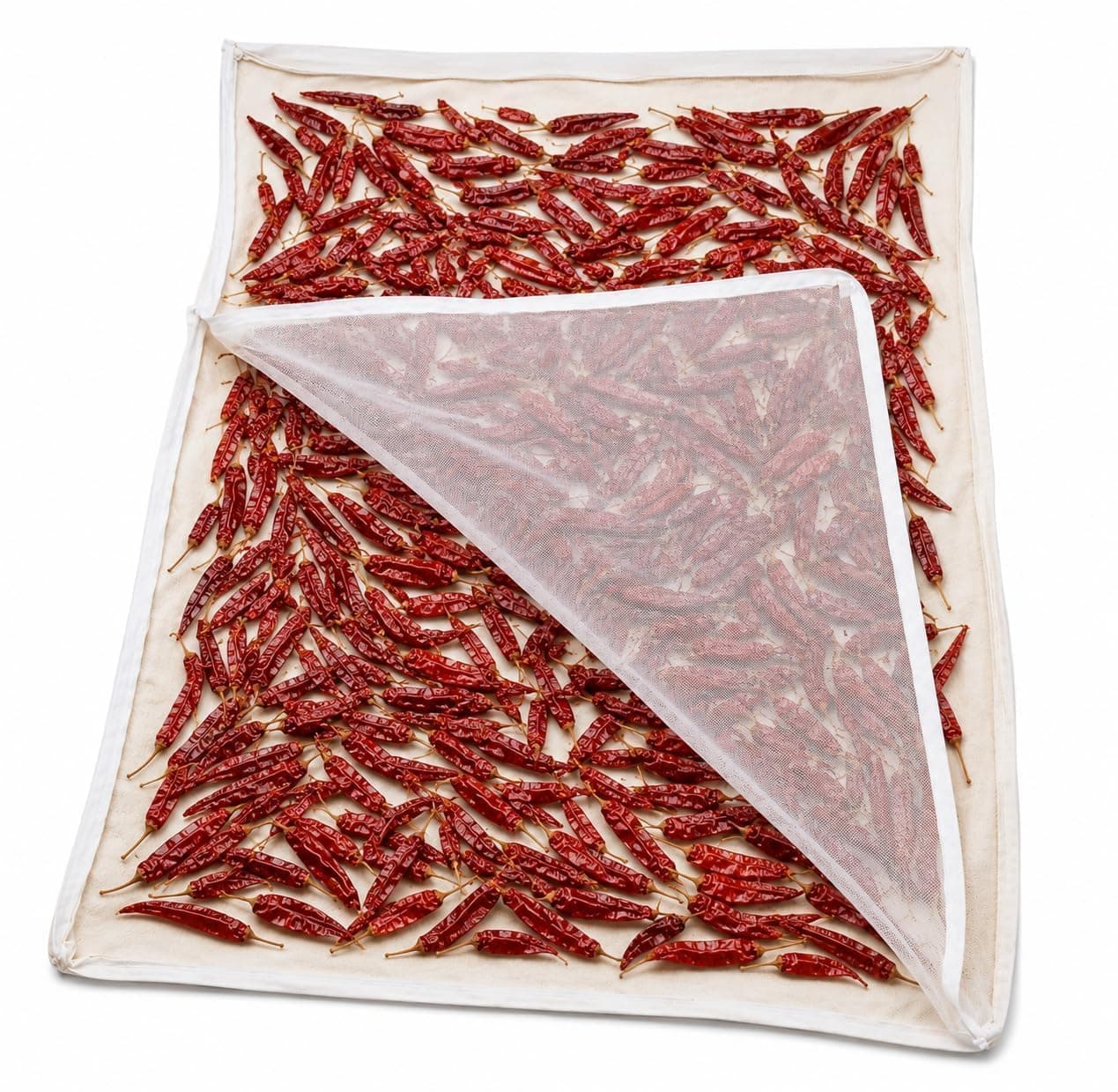 HROY Papad Drying Cloth with Net Zip (72x96 cm) | Food Drying Cloth for Sun Drying | Reusable Mesh Drying Mat for Papad, Millets, Grains, & Dry Fruits | Protects from Birds, Dust & Insects