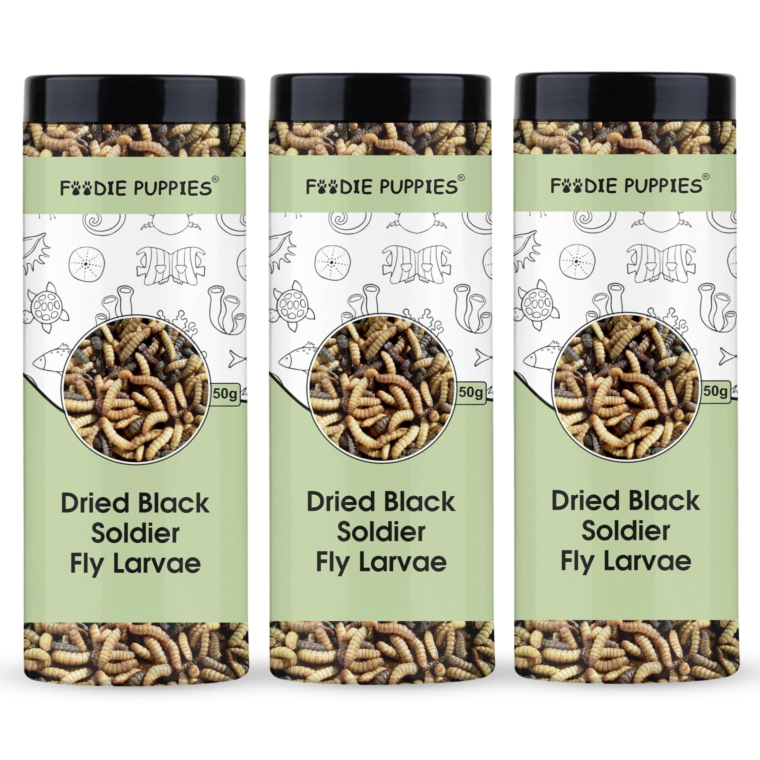 Foodie Puppies Dried Black Soldier Fly Larvae 50g (Pack of 3) - Fish Food for Bettas, Tetras, Arowana, Flowerhorn, Oscar, Blood Red Parrot and Other Reptiles