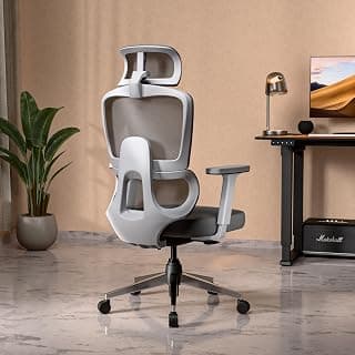 Green Soul Orion | Ergonomic Office Chair for Work with Dual Panel Backrest | Seat Slider | 3D Armrest | Warranty | 5 Years | Grey