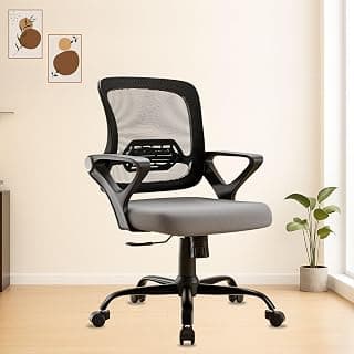 Align Cherry Orthopedic Ergonomic Office Mesh Chair with Lumbar Support, Comfortable Cushioned Seat, Adjustable Height, Revolving Design, Tilt Lock, Heavy Duty Metal Base, 3 Years Warranty (Grey)