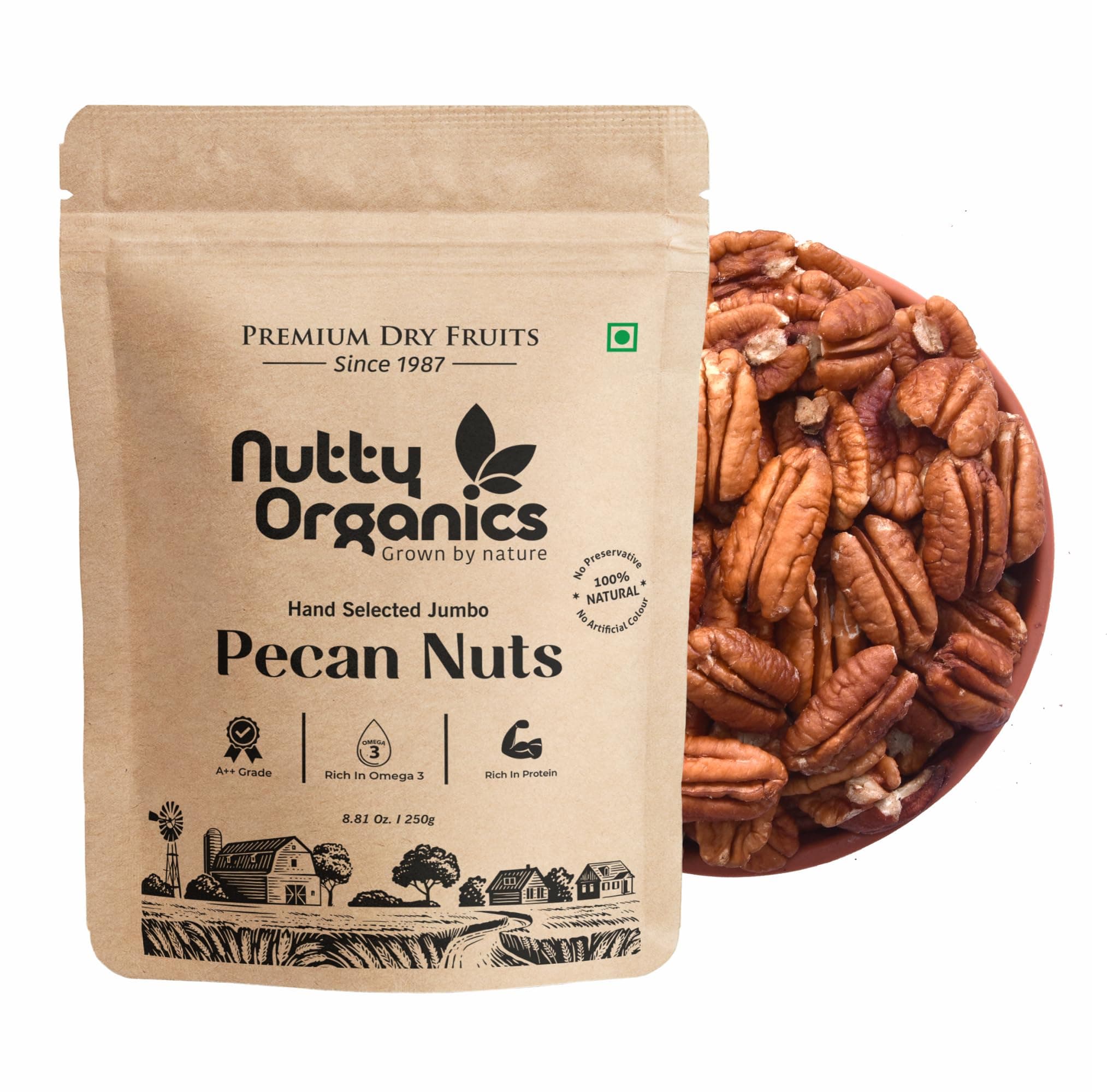 NUTTY ORGANICS Premium & Healthy Dried Pecan Nuts - 500 GM | Preservatives & Additives Free | Nuts Dry Fruits | Rich in Protein & Fiber
