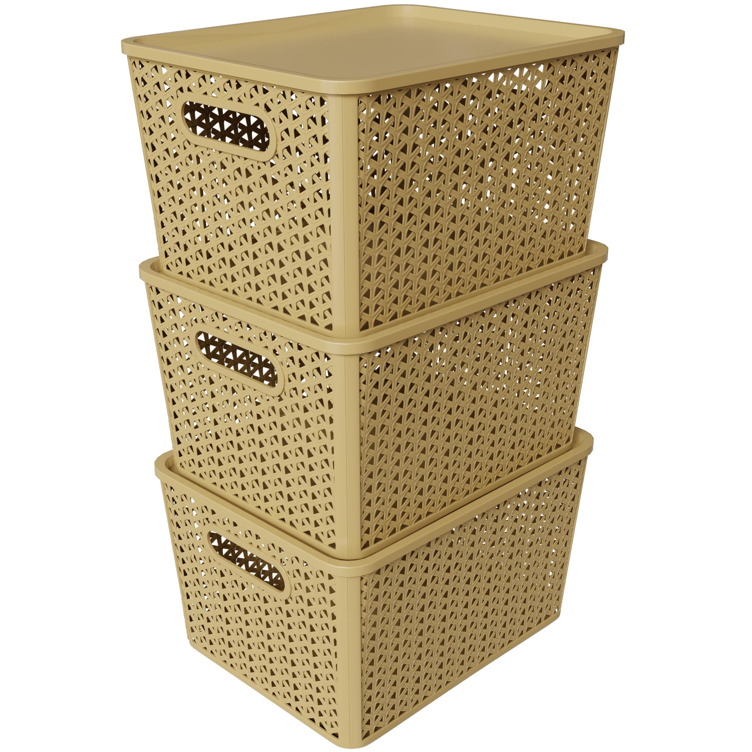 TEX-RO Big Storage Box and Organiser | Storage & Organizers | Organizer Storage Box for Kitchen, Clothes, Multipurpose | Durable Storage Basket With Lid & Plastic Basket for Storage (Pack of 3, Cream)