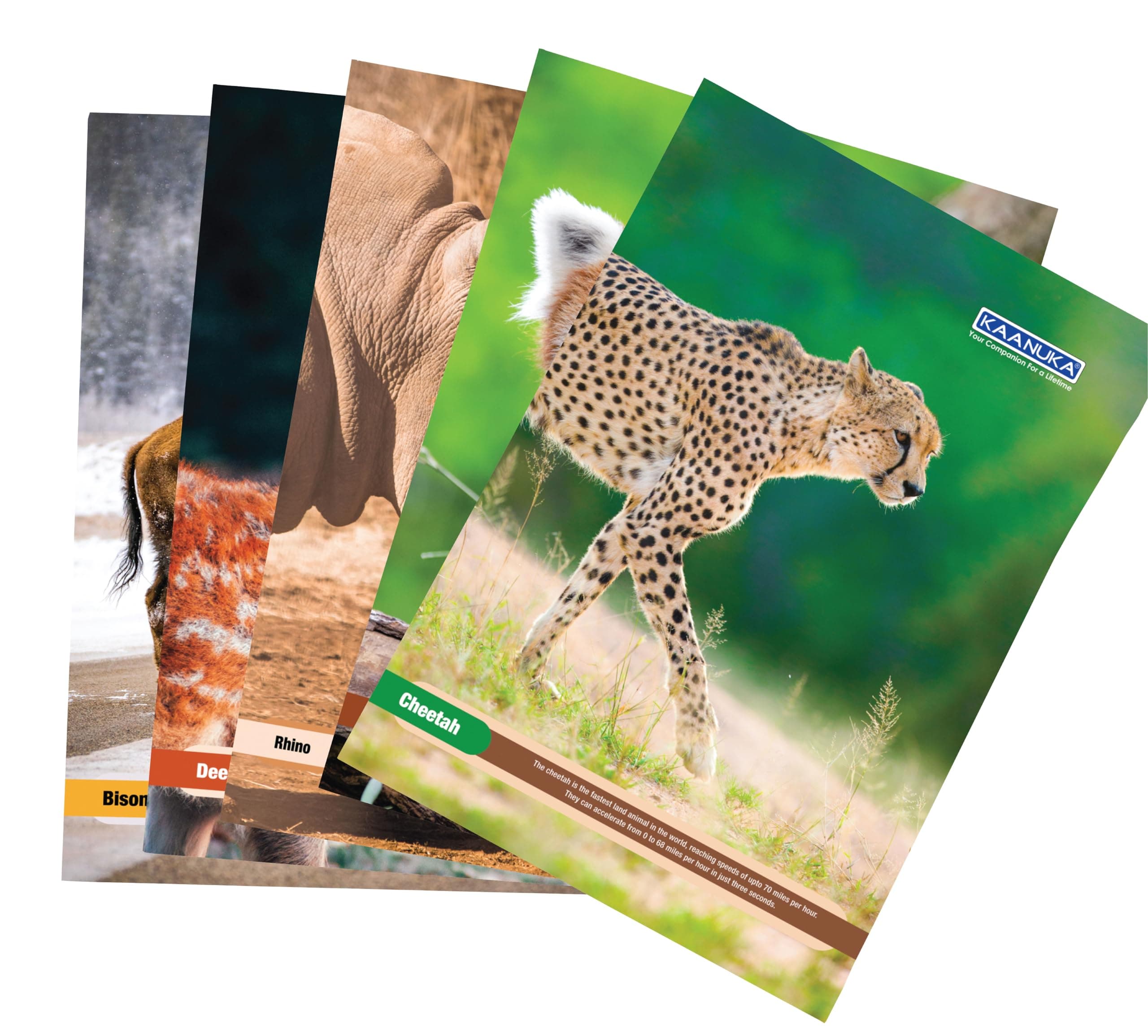 KAANUKA Long Size Notebook - 140 Pages, Unruled, Plain, A4-29.7cm X 21.0cm, Pack Of 5 Notebooks, Long Size Plain Notebooks for School and College Students