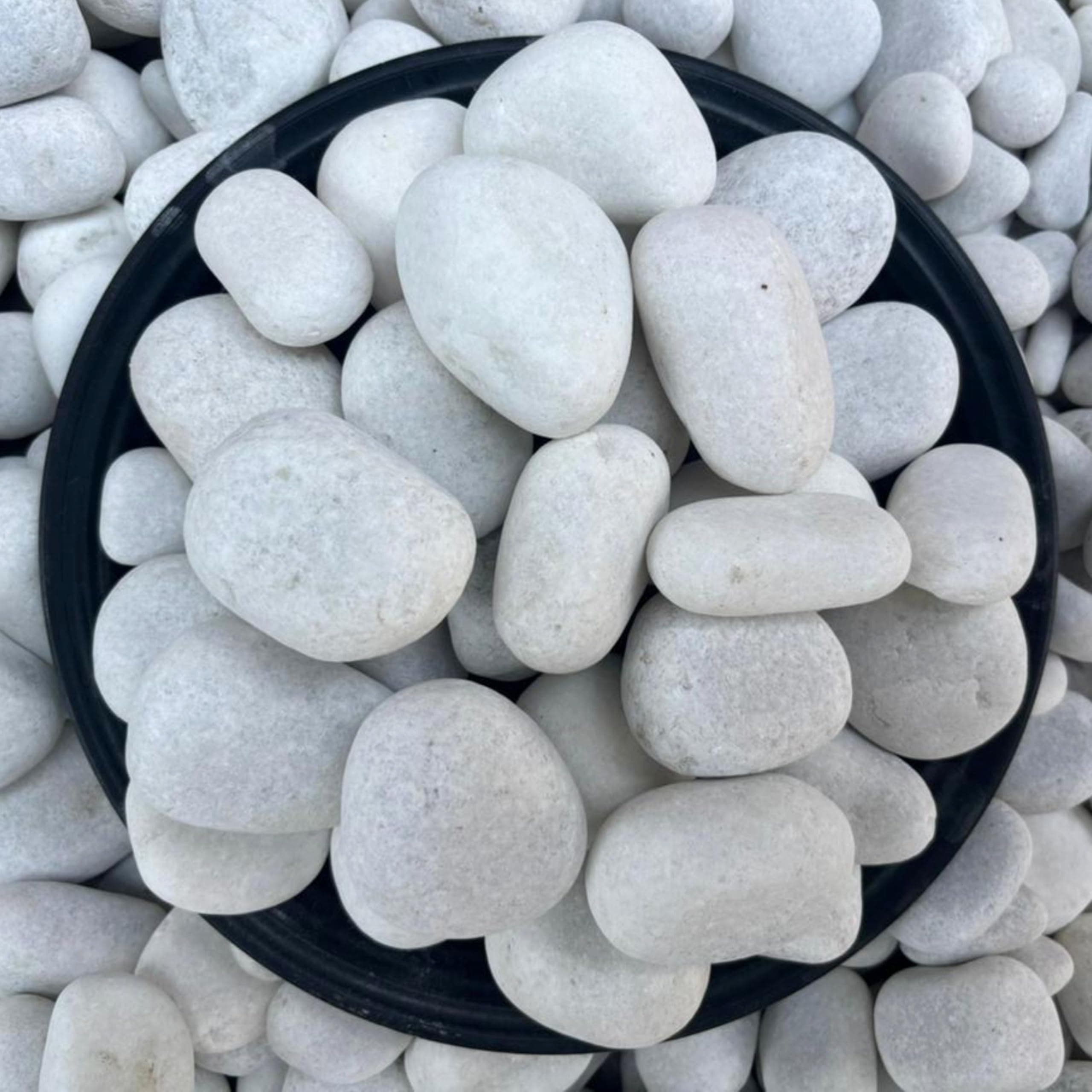 Foodie Puppies Unpolished White Decorative Stones (5Kg, Jumbo Extra Large) (7cm – 10cm) for Garden Landscaping, Swimming Pools, Fish Tanks, Home Décor, Indoor & Outdoor Decorative Pebbles | Decorative Marbles