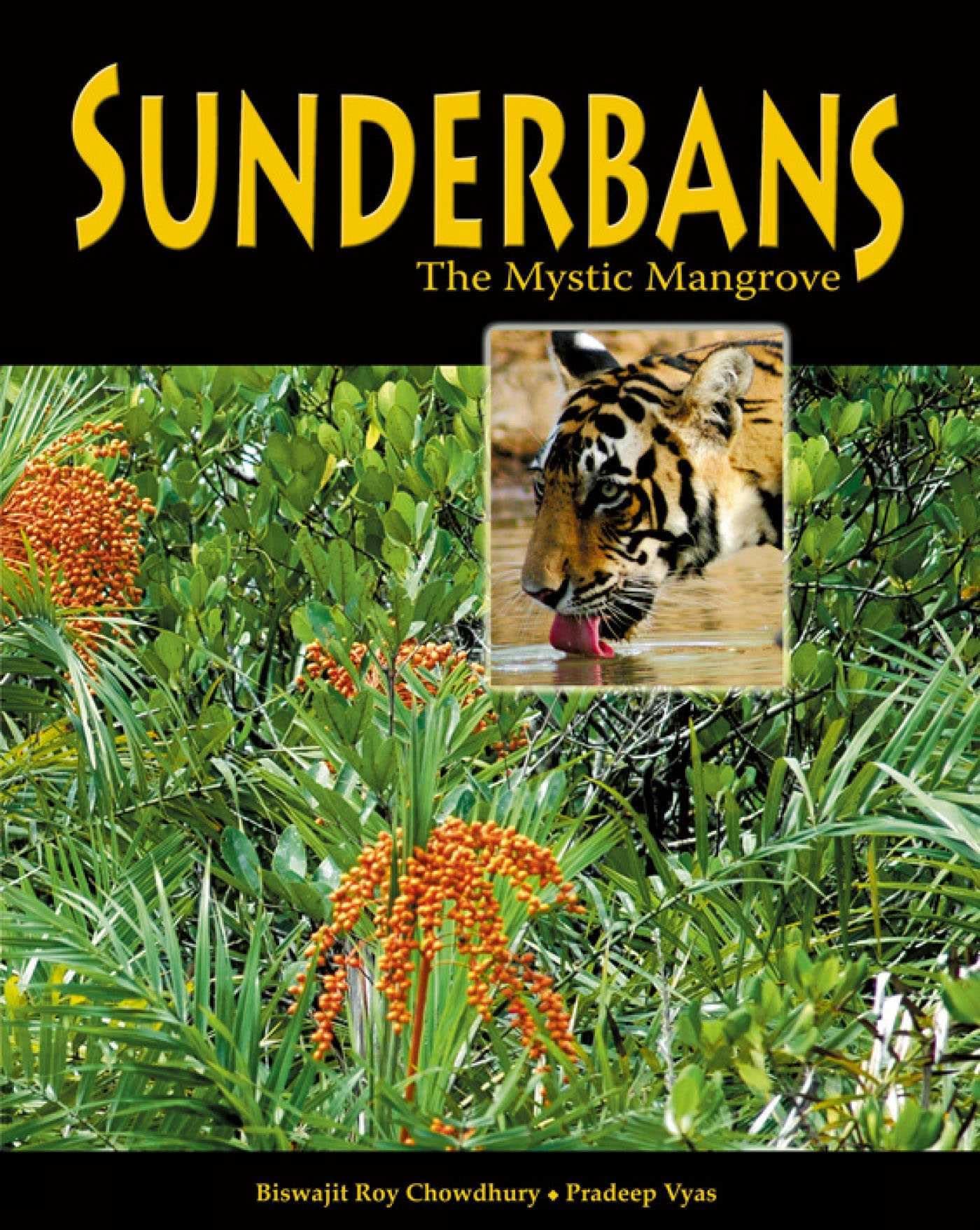 Sunderbans: The Mystic Mangrove