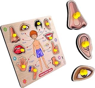 Lefan Body Part Puzzle Kids Wooden Toys for Kids 3 + Jigsaw Puzzles for Adults Baby Learning Toys Educational Toys for 2 Board Game