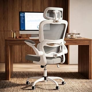 DROGO Premium Ergonomic Office Chair for Work from Home, High Back Computer Chair with Adjustable Seat, Lumbar Support & Headrest, Flip-up Armrest & Recline | Mesh Chair for Office/Home (Grey)