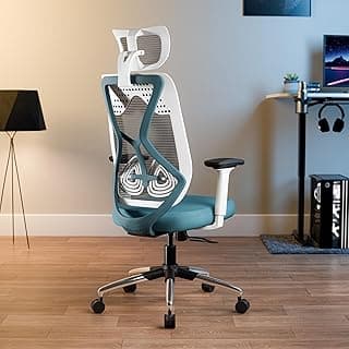 Green Soul Pro | Office Chair | Flybird Ergonomic Design | 3D Adjustable Armrests | Synchro Multi-Tilt Mechanism| Adjustable Lumbar Support |3 Years Warranty (Teal White)