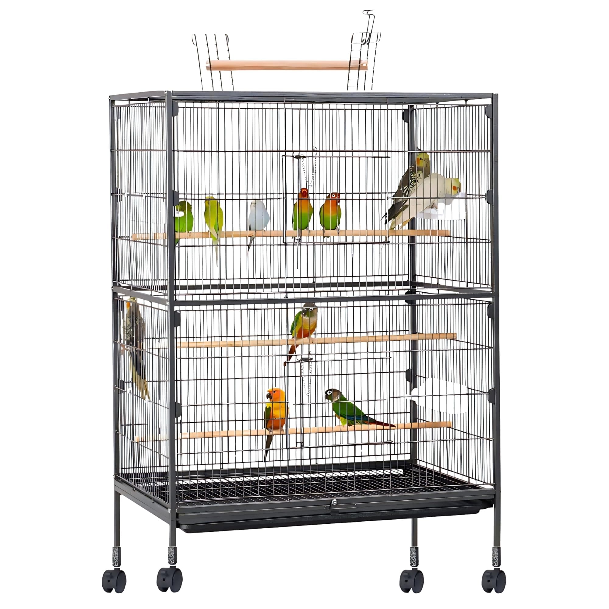 Buraq 38 Inch XX - Large Bird Cage, Includes Locking Casters & Bird Cage Accessories, for Small & Medium Types of Birds (38 INCH XXL)