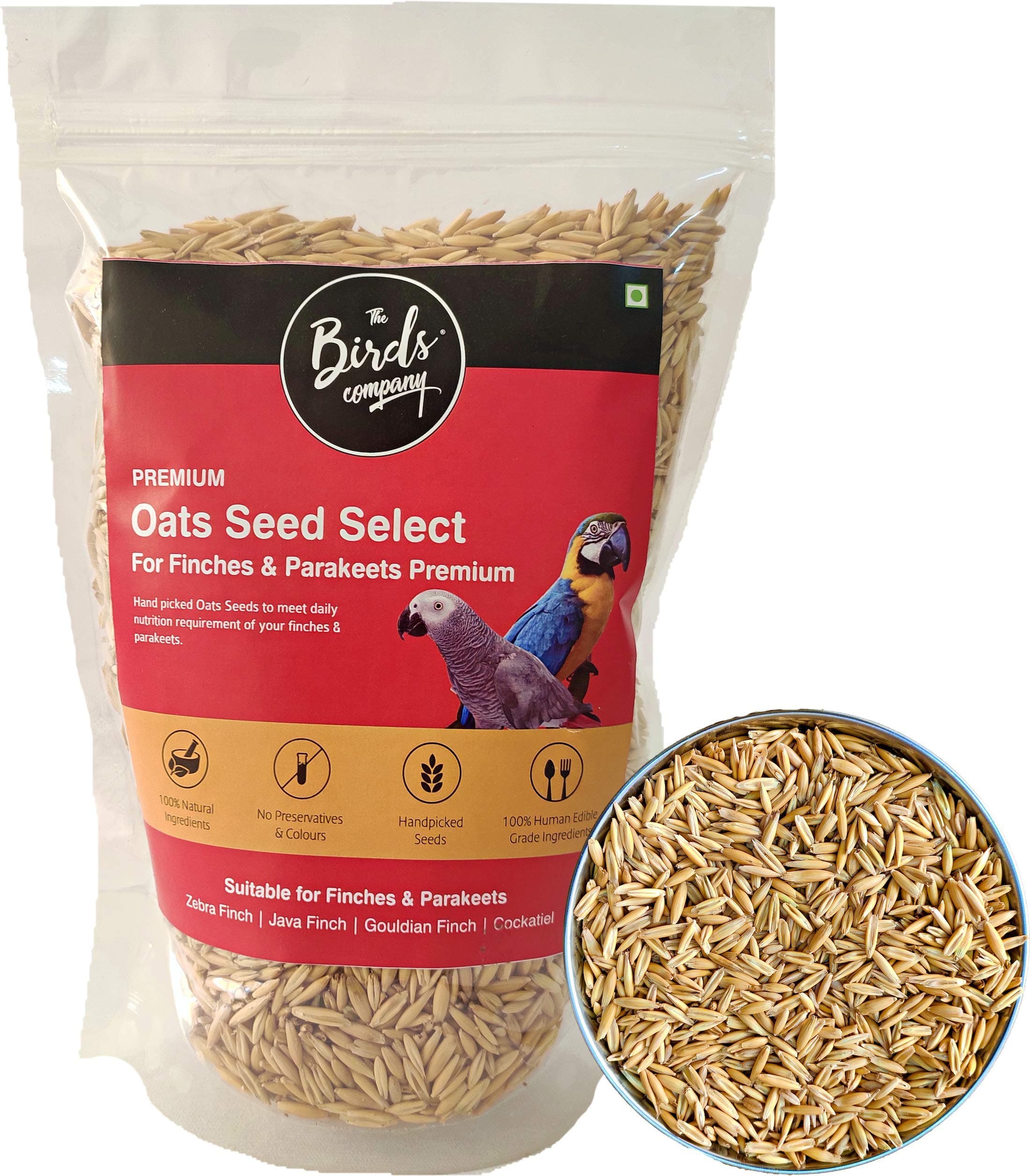 The Birds Company Premium Oats Seed Select, Fortified with Spirulina, Bird Food for Finches, Budgies, Conures, Lovebirds, Cockatiels, African Grey, Macaws, Cockatoo, 450 g