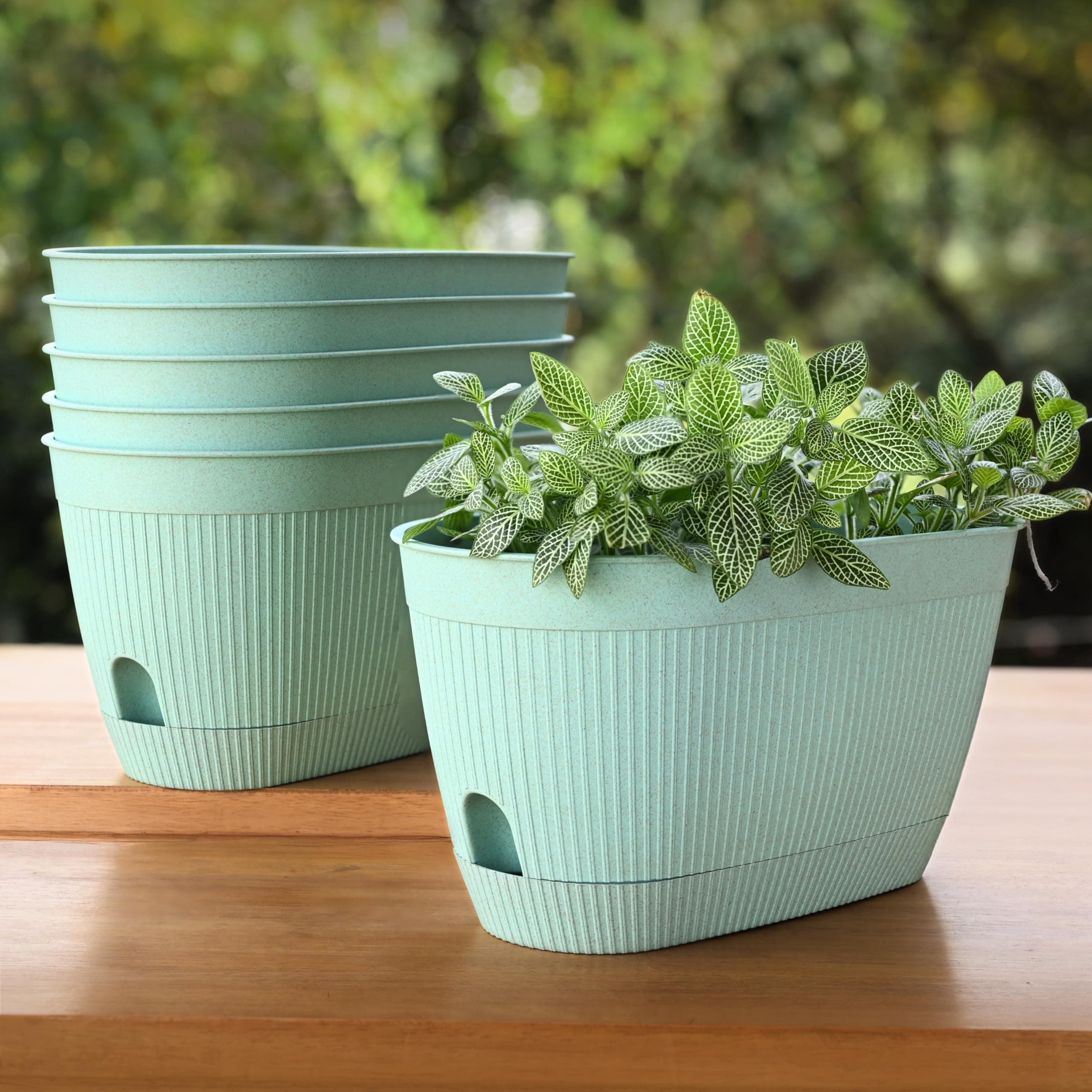 Eha Earth Friendly Eva 11.5 inch Self Watering Pots for Plants | Bamboo Based Plant Pots | Pack of 6 | UV Protected Planters for Home décor Indoor, Outdoor, Balcony & Garden Flower pots | Celeste