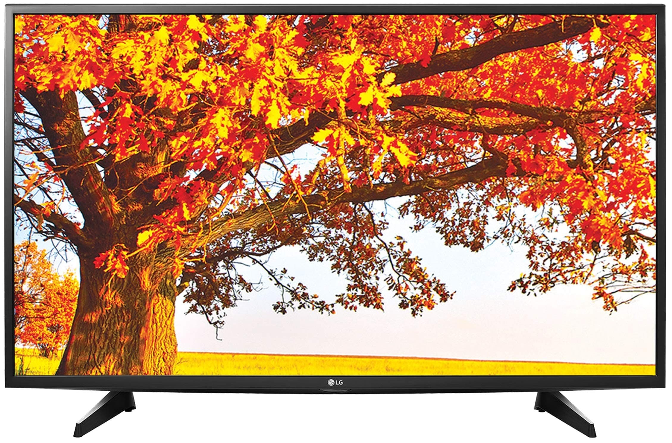 LG 123 cm (49 Inches) Full HD IPS LED TV 49LH516A (Black) (2016 model)