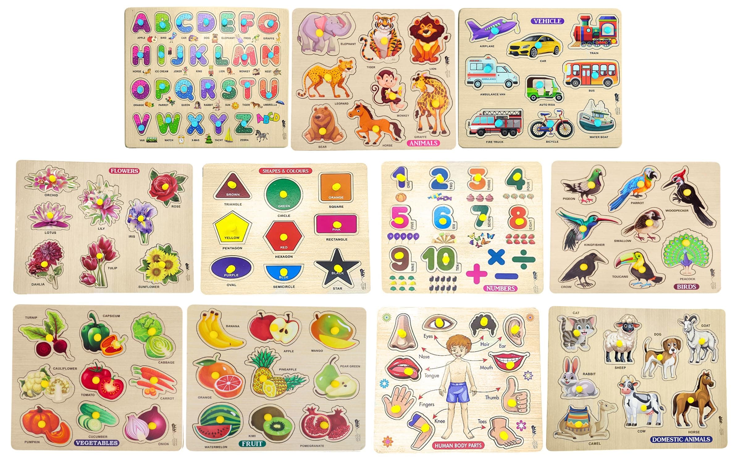 APPSTER Jumbo Wooden Puzzle Toy for Kids 11-in-1 Colorful Learning Set | Animals, Birds, Flowers, Pet, Fruits, Vegetables, ABCD, Numbers, Shapes, Body Parts & Vehicles | Educational Jigsaw Board Game