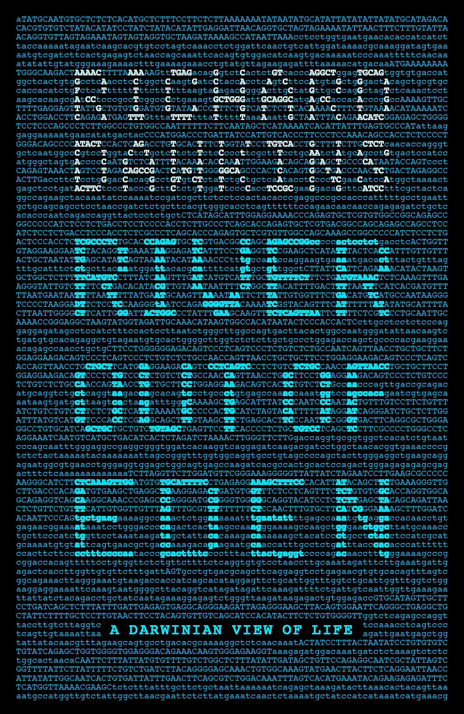 RIVER OUT OF EDEN